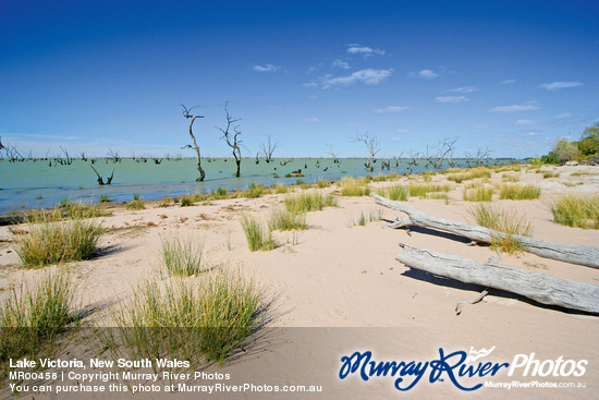 Lake Victoria, New South Wales