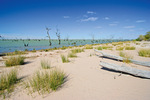 Lake Victoria, New South Wales