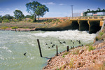 Lake Victoria, New South Wales