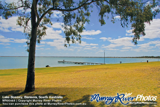 Lake Bonney, Barmera, South Australia