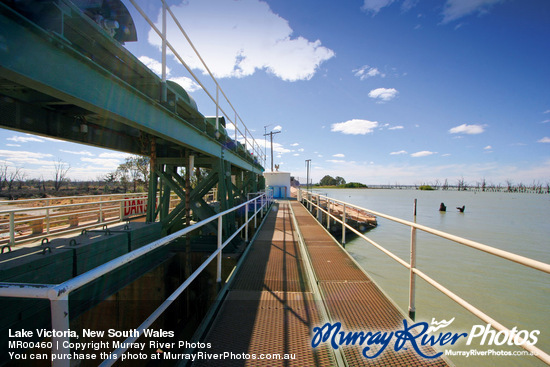 Lake Victoria, New South Wales