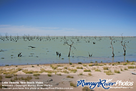 Lake Victoria, New South Wales