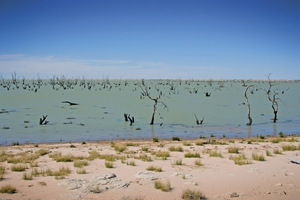 Lake Victoria, New South Wales