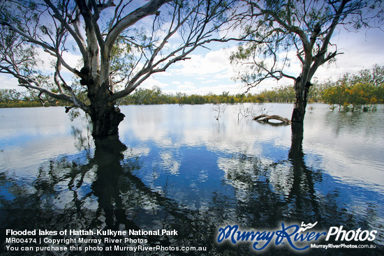 Flooded lakes of Hattah-Kulkyne National Park