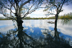 Flooded lakes of Hattah-Kulkyne National Park