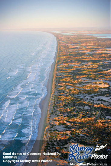Sand dunes of Coorong National Park