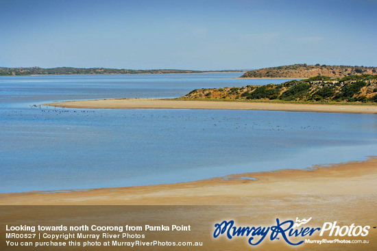 Looking towards north Coorong from Parnka Point