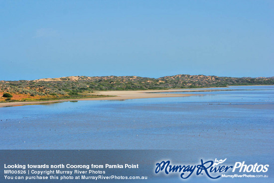 Looking towards north Coorong from Parnka Point