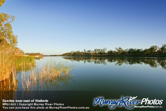 Sunrise near east of Waikerie