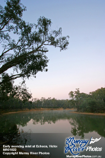 Early morning mist at Echuca, Victoria