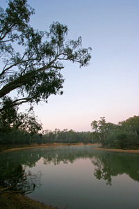 Early morning mist at Echuca, Victoria