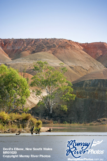 Devil's Elbow, New South Wales