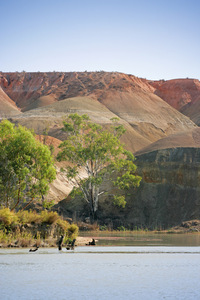 Devil's Elbow, New South Wales