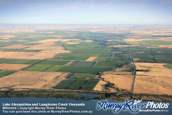 Lake Alexandrina and Langhorne Creek Vineyards