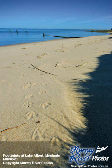 Footprints at Lake Albert, Meningie