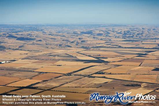 Wheat fields near Palmer, South Australia