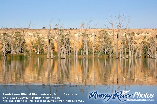 Sandstone cliffs of Blanchetown, South Australia