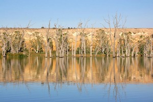 Sandstone cliffs of Blanchetown, South Australia