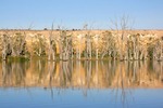 Sandstone cliffs of Blanchetown, South Australia