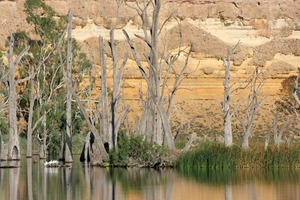 Sandstone cliffs of Blanchetown, South Australia