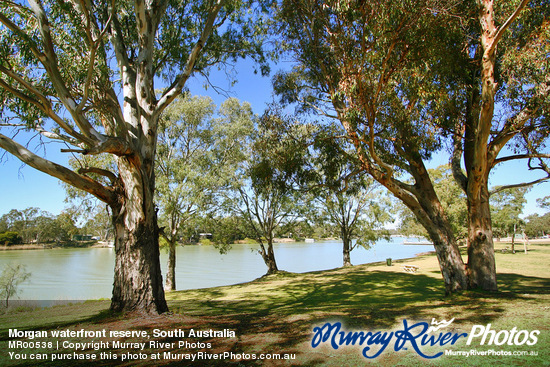 Morgan waterfront reserve, South Australia