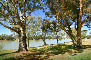 Morgan waterfront reserve, South Australia