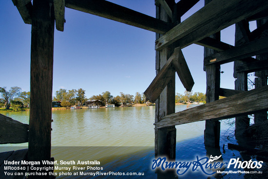 Under Morgan Wharf, South Australia