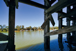 Under Morgan Wharf, South Australia