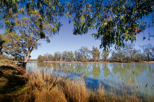 Murtho, Paringa, Renmark, Murray River, Riverland, South Australia