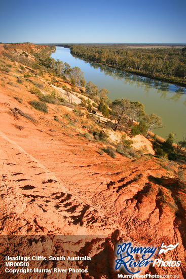 Headings Cliffs, South Australia