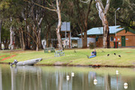 Relaxing at Renmark, South Australia