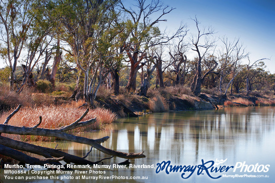 Murtho, Trees, Paringa, Renmark, Murray River, Riverland, South Australia