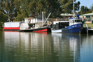 PS Industry and Argo Barge, Renmark