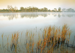Mist, Swan Reach, Murray River, Murraylands, South Australia