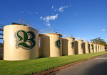 Berri Estates, Berri, South Australia