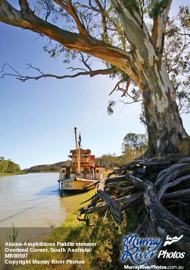 Akuna-Amphibious Paddle steamer at\nOverland Corner, South Australia