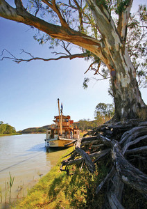 Akuna-Amphibious Paddle steamer at\nOverland Corner, South Australia