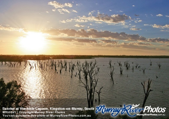 Sunrise at Wachtels Lagoon, Kingston-on-Murray, South Australia