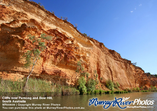 Cliffs near Purnong and Bow Hill,\nSouth Australia