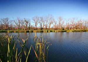 Billabong at Purnong
