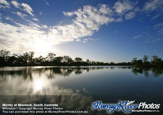 Murray at Moorook, South Australia