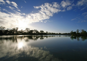 Murray at Moorook, South Australia