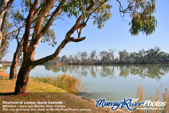 Riverfront at Loxton, South Australia