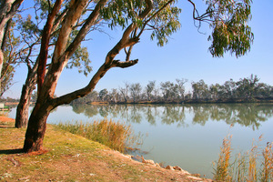 Riverfront at Loxton, South Australia