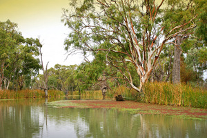 Backwaters of Renmark, South Australia