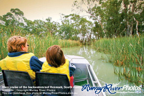 River cruise of the backwaters/nof Renmark, South Australia