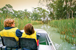 River cruise of the backwaters/nof Renmark, South Australia