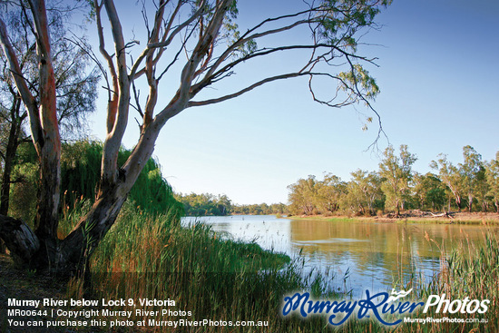 Murray River below Lock 9, Victoria