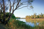 Murray River below Lock 9, Victoria