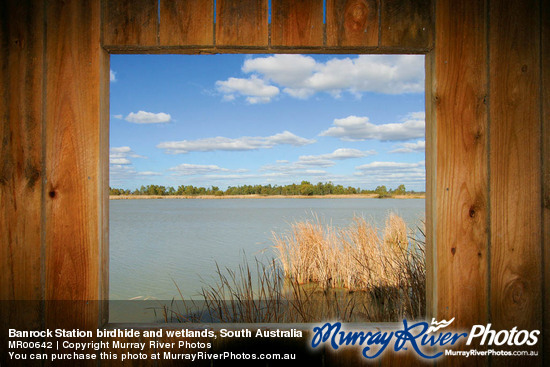 Banrock Station birdhide and wetlands, South Australia